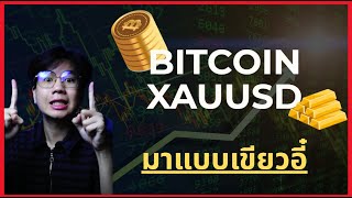 ทอง BITCOIN ขึ้นต่อเนื่อง (บ่าย)