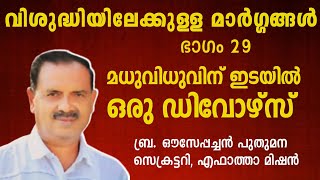 വിശുദ്ധിയിലേക്കുള്ള മാർഗ്ഗങ്ങൾ | ഭാഗം 29 | മധുവിധുവിന് ഇടയിൽ  ഒരു ഡിവോഴ്സ് | Br ഔസപ്പച്ചൻ പുതുമന