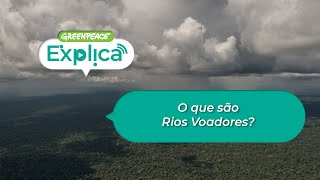 O que são Rios Voadores? - Greenpeace Explica