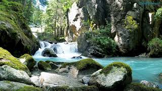 Relax to the sound of a mountain stream in the forest (4K). Water sounds