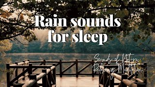 Relaxing forest walk under light rain Fall/Winter | Rain sounds for sleep and study, ASMR