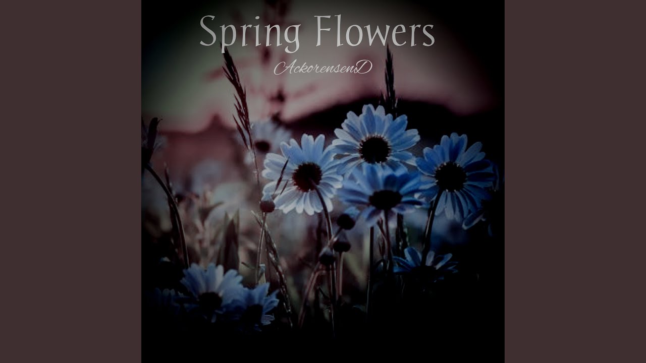 Spring Flowers Youtube