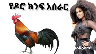 ምግብ እንስራ