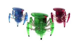 Hexbug Spider