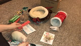 Reviewing December 2020's Ratty Box (A Rat Subscription Service!)