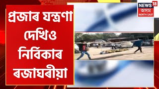 Nalbari News :  নলবাৰীত এটা কৰুণ দৃশ্য, যি দেখিও অন্তৰে নাকান্দে স্বাস্থ্য বিভাগৰ | Assamese News