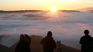 スケール満点、まち包む雲海　朝日浴び、表情刻々と　佐用・大撫山