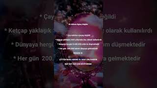 #keşfet #itzy #keşfetbeniöneçıkar #burçlar #kpop #kediler #kedilerindünyası #lütfenkeşfet