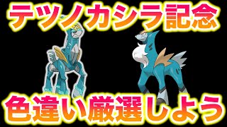 テツノカシラ登場記念にコバルオンの色違いを厳選するぞ【ポケモンUSUM/ウルトラサン・ムーン】