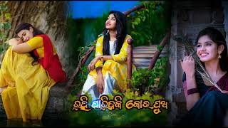 Meghua Meghua Pagare Jachi Kuade Jadi//ମେଘୁଆ ମେଘୁଆ ପାଗ ରେ ଜାଉଚୁ କୁଆଡେ ଯଦି #ytshorts #odia//NJ JRONY