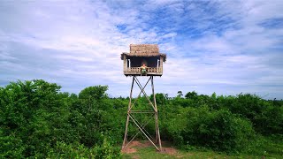 Survival Girl Living Alone How To Build A House 10 Meters High From The Ground Use Ancient Skills