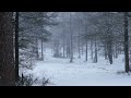 falling snow sound blizzard calming meditation sleep bgm