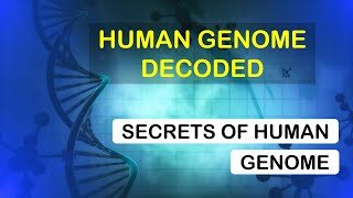 Human Genome Explained  | DNA Sequencing | Secrets of Genome | Science | Human