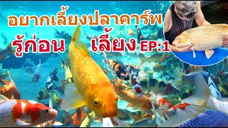 อยากเลี้ยงปลาคาร์พ EP:1 ต้องรู้ ต้องมีอะไร? ข้อมูลเบื้องต้นสำหรับท่านที่กำลังสนใจอยากเลี้ยงปลาคาร์พ