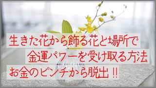 【花風水】見るだけでも怖いくらい幸運がやってくる！生きた花・緑から簡単に金運パワーを受け取る方法【金運 恋愛運 仕事運 開運】