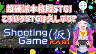 STG配信　超硬派本格縦STG！「Shooting Game (仮)」HARDモードチャレンジ！