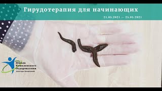 Комплексная Гирудотерапия для начинающих