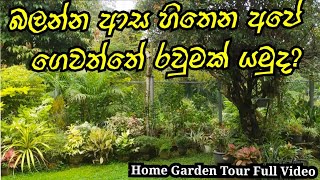 Home Garden Tour🌳🪴|අපේ ලස්සන ගෙවත්ත බලමුද?💗😌🪴|Garden vlog|ගෙවතු අසිරිය|Home Garden idea#garden|full