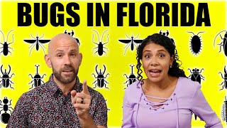The Truth About Bugs In Florida