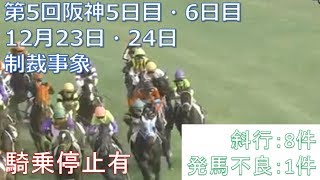 2017年12月23日・24日阪神競馬制裁事象【C.ルメール・和田竜二騎乗停止】