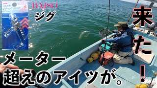 【マゴチ】DAISOジグで鯒三昧！