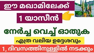 ഈ മഖാമിലേക്ക് ഒരു യാസീൻ നേർച്ച വച്ച് ഓതി നോക്കൂ👉 നിന്റെ ഉദ്ദേശം ഒരു ദിവസം കൊണ്ട് നടന്നു കിട്ടും