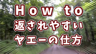 バイクが楽しいのは分かったからヤエーのやり方教えれ！