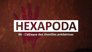 HEXAPODA #6 - L’attaque des chenilles prédatrices ⭐️⭐️