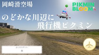 普通の川辺じゃないの！？セントレア、県営名古屋空港が家から遠い人におすすめ、岡崎滑空場【ピクミンブルーム / Pikmin Bloom 】