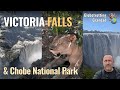 Victoria Falls & Chobe Safari: 3 Countries in 2 Days | Grandad’s Epic African Adventure!