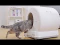 Big Space Electric automatic Cat Litter Box with APP control Self-cleaning Cat Toilet