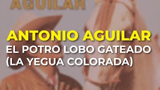 Antonio Aguilar - El Potro Lobo Gateado (La Yegua Colorada) (Audio Oficial)