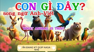 CON GÌ ĐÂY? SONG NGỮ ANH VIỆT: PHẦN 3 ĐỘNG VẬT SỐNG TRONG RỪNG