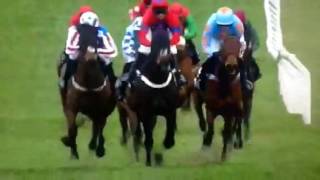 Sprinter sacre champion chase 2016