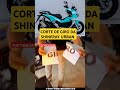 vocÊ jÁ viu a shineray urban cortando giro 🤭 canalmaori250 automobile motorcycle yamaha ktm