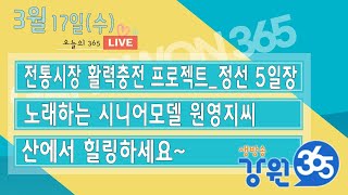 [강원365_3월17일(수) 방송] 전통시장 활력충전 프로젝트_정선 5일장/노래하는 시니어모델 원영지씨/산에서 힐링하세요~