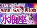 水瓶座 11月前半【劇的展開！成功の秘訣は軌道修正と再起動】迷ったら原点回帰　　みずがめ座　2024年１１月運勢  タロットリーディング