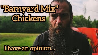 Barnyard Mix Chickens: What to Expect (or Not) feat. GrubTerra
