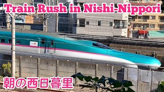 Nishi Nippori 西日暮里: Various Shinkansen! 色んな新幹線を愛でる! / Tokyo Train #4