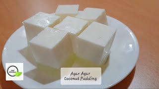 Agar Agar Coconut Pudding