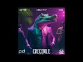 Kercity.p, Hektor & Amir Taee (Kercity Band) – Crocodile