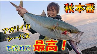 実践上100％釣果の沖磯はやはり最高だった【ヒラマサ】