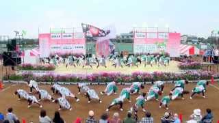 リゾンなるこ会飛鳥　in　関東　ＹＯＳＡＫＯＩ　そうなん　2014