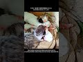 the mother cat jumped into the water pipe and rescued her kittens one by one. cat rescue family