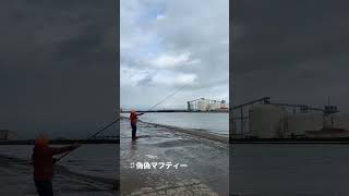 偽マフティーの投げ練 ♯なんとでもなるはずだ！【両軸遠投カゴ釣り】