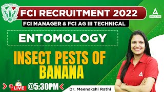 FCI Manager & FCI AG 3 Technical | Entomology by Dr Meenakshi Rathi | Insect Pests of Banana