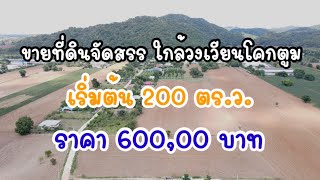 ที่ดินแบ่งขายใกล้วงเวียนโคกตูม เริ่มต้น 200 ตร.ว. ราคา 6 แสนบาทถ้วน