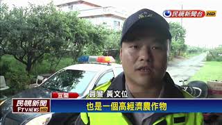 上將梨今年減產價揚 警方實施護梨專案－民視新聞