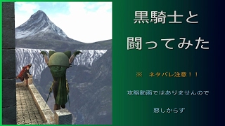 ※(ネタバレ注意)メインストーリー「復活の条件」の黒騎士と闘ってみた（シーカー視点）