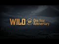 WildRP | One Year Anniversary